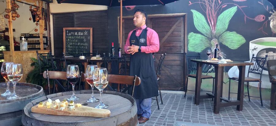 Santiago de Querétaro: Pueblos Mágicos Cheese and Wine Route - Who will enjoy this Querétaro day trip?