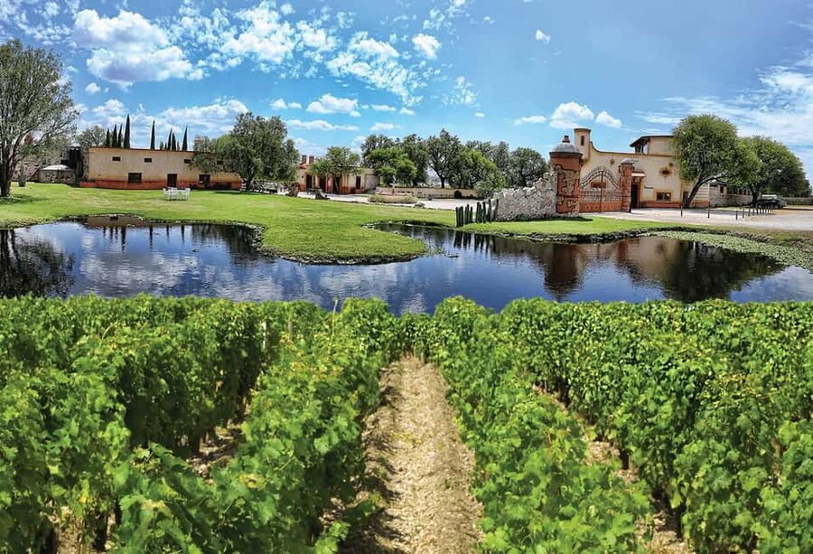 Santiago de Querétaro: Pueblos Mágicos Cheese and Wine Route - Fourteen cheeses and two wines to start