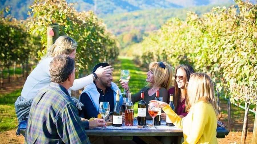 Santiago: Maipo Valley Wine Tasting Tour with 4 Vineyards - Santa Ema: polished tasting with less walking