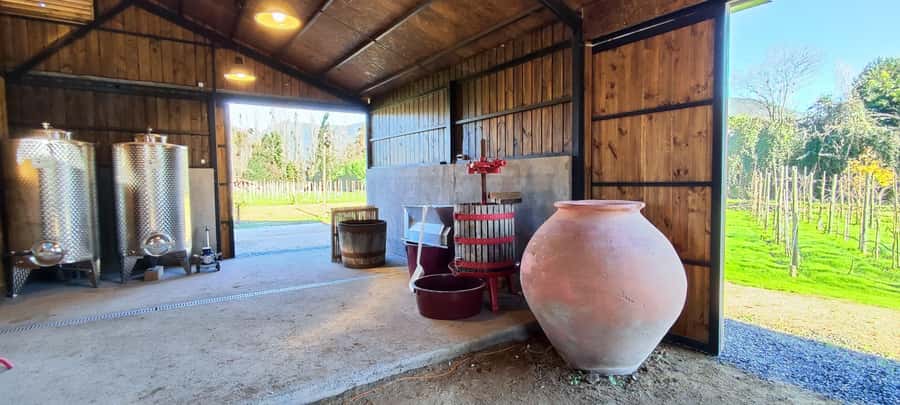 Santiago: Maipo Valley Wine Tasting Tour with 4 Vineyards - Undurraga: the grand finale with a gift glass