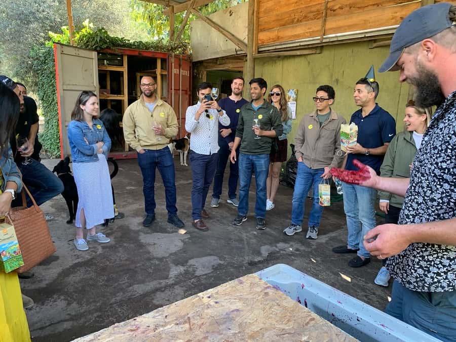 Santiago: Maipo Valley Wine Tasting Tour with 4 Vineyards - Price, time, and what you are really buying