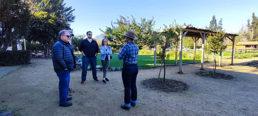 Santiago: Maipo Valley Wine Tasting Tour with 4 Vineyards - Who should book this Maipo Valley tour?