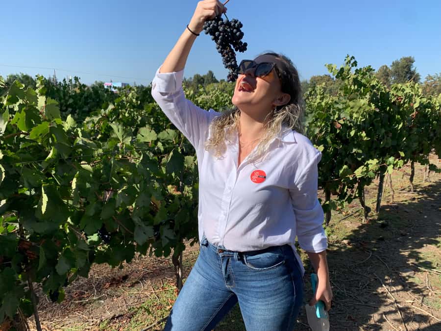 Santiago: Maipo Valley Wine Tasting Tour with 4 Vineyards - Campo La Quirinca: the friendly family farm
