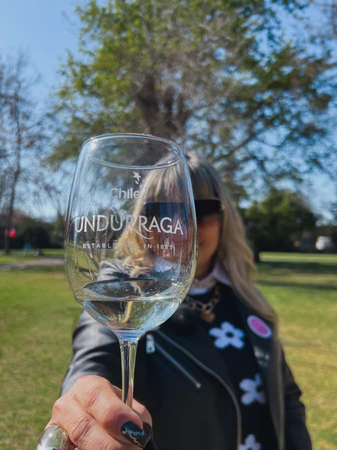 Santiago: Tour to Isla Negra, Algarrobo and Undurraga Wines - Why this Santiago day trip works