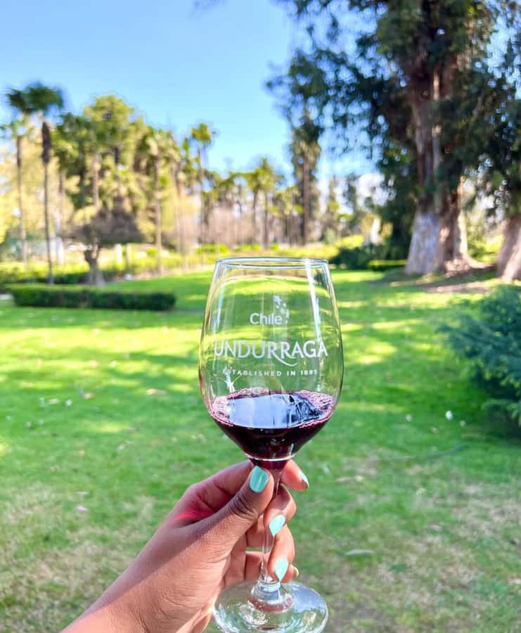 Santiago: Tour to Isla Negra, Algarrobo and Undurraga Wines - Transport, guides, and the value of a full day