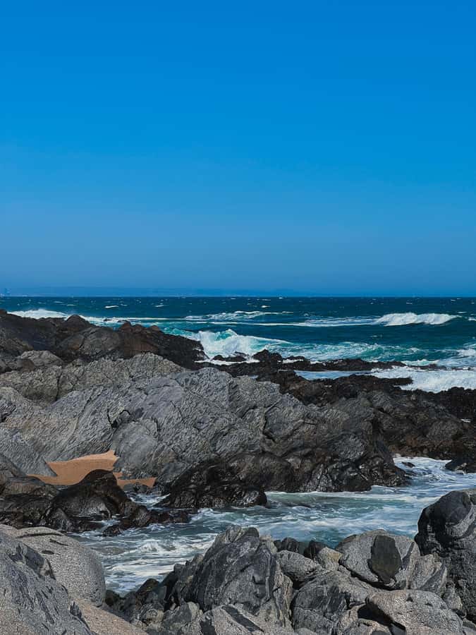 Santiago: Tour to Isla Negra, Algarrobo and Undurraga Wines - Who will enjoy this outing most