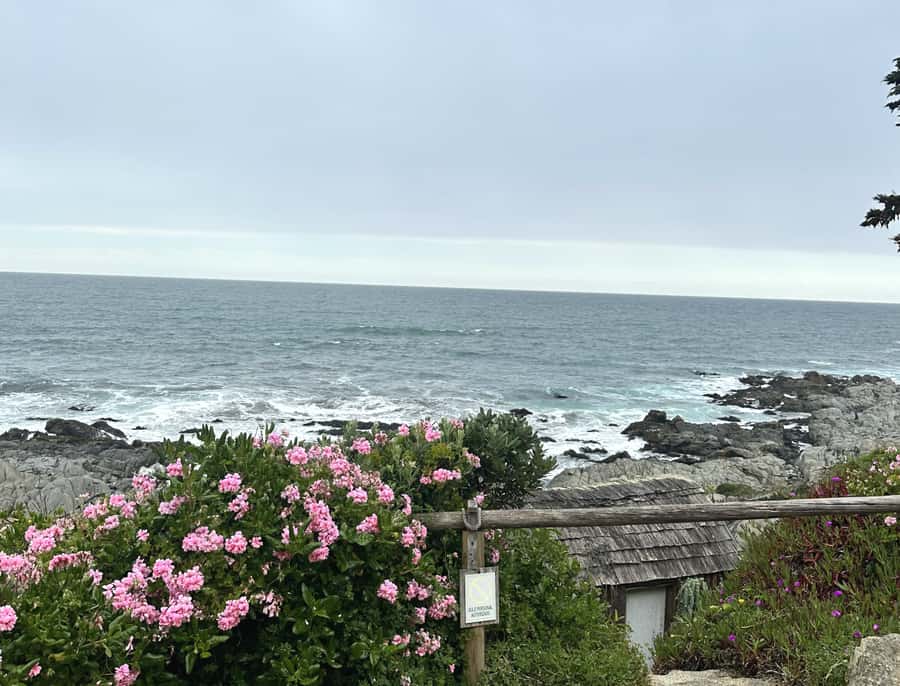 Santiago: Tour to Isla Negra, Algarrobo and Undurraga Wines - Should you book it?