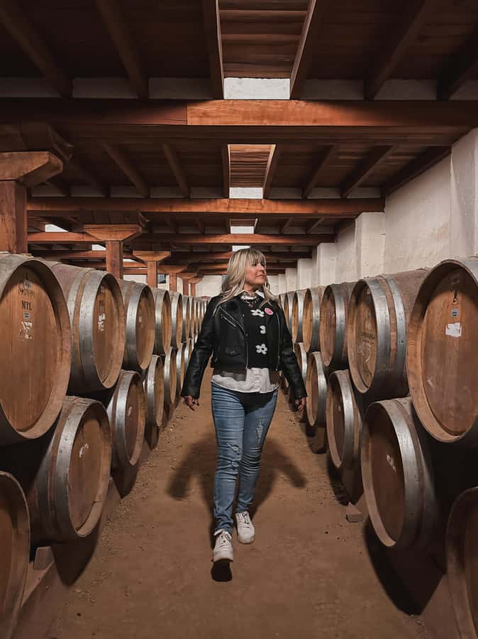 Santiago: Tour to Isla Negra, Algarrobo and Undurraga Wines - Leaving Santiago for Undurraga Winery