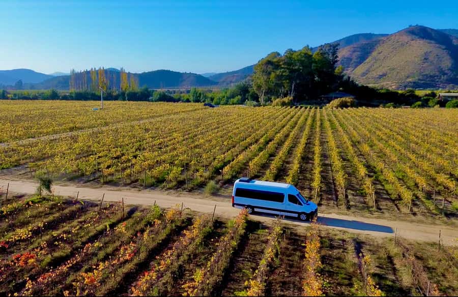 Santiago: Viña del Mar, Valparaiso, with Wine Tasting - At a glance: the details that matter