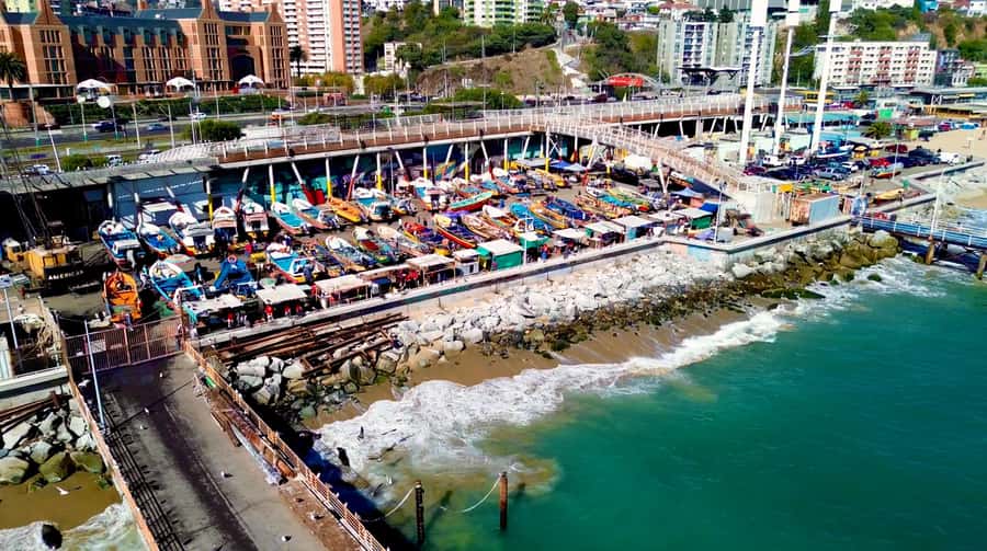Santiago: Viña del Mar, Valparaiso, with Wine Tasting - Who should book this experience?