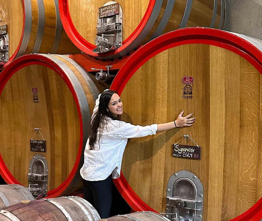 Santiago: World-class Wines, Visit to 4 Vineyards and Tanino - Five things to know before booking