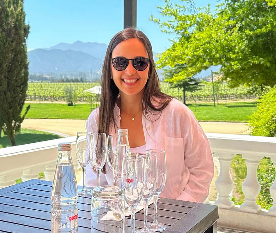 Santiago: World-class Wines, Visit to 4 Vineyards and Tanino - Leaving Santiago for the Casablanca Valley
