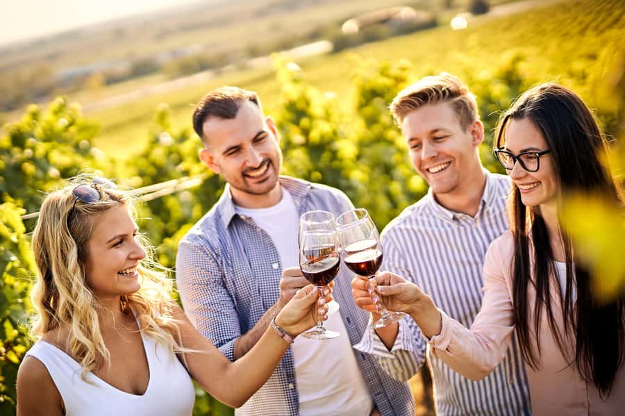 Santiago: World-class Wines, Visit to 4 Vineyards and Tanino - Viñamar: sparkling wine in the Casablanca Valley