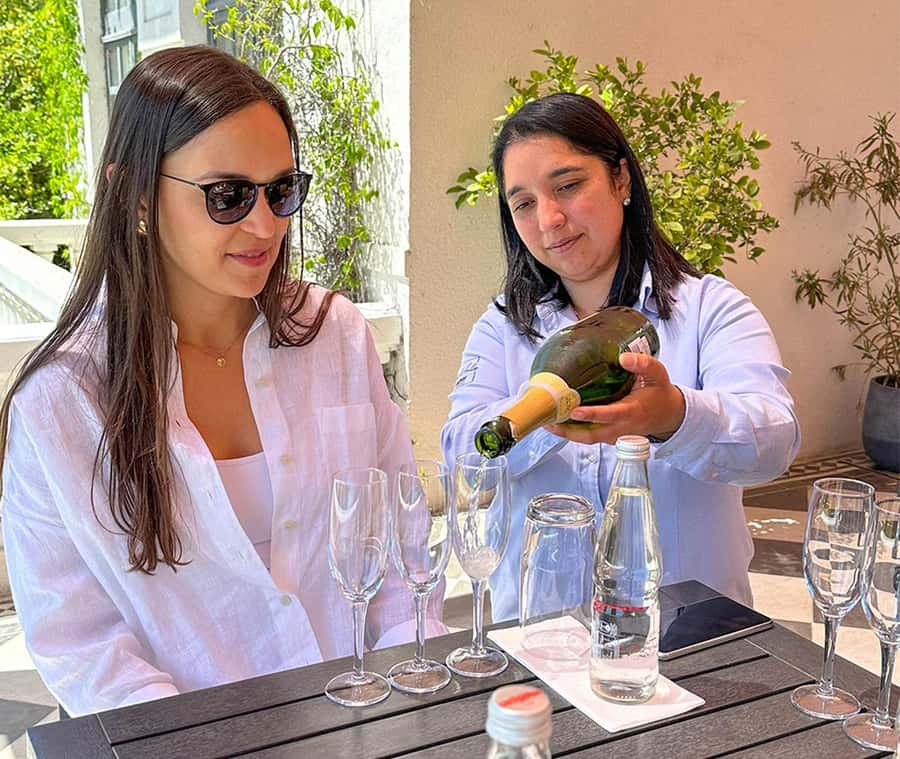 Santiago: World-class Wines, Visit to 4 Vineyards and Tanino - Casas del Bosque and the long lunch at Tanino