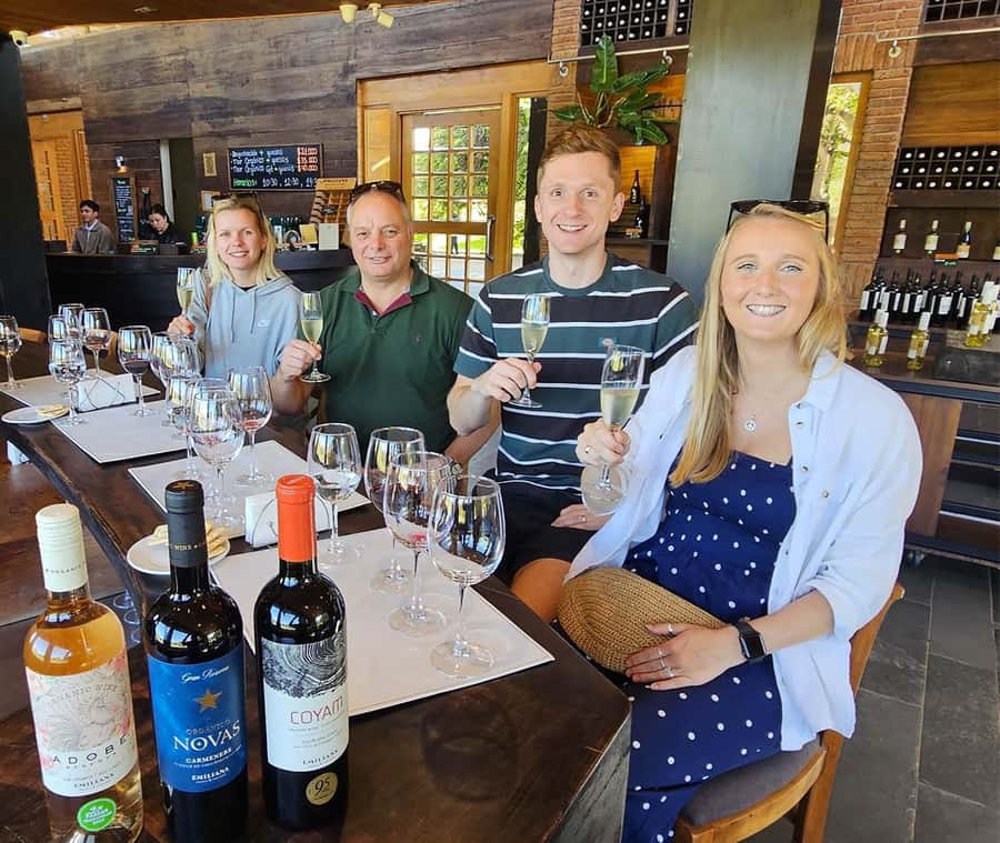 Santiago: World-class Wines, Visit to 4 Vineyards and Tanino - Why the small-group format helps