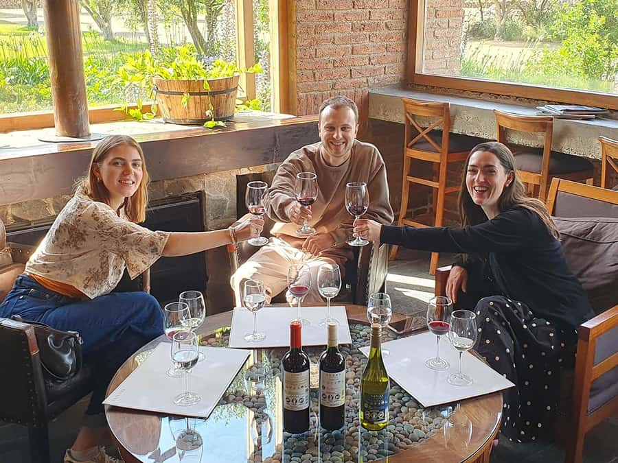 Santiago: World-class Wines, Visit to 4 Vineyards and Tanino - Emiliana: organic wine with a serious purpose