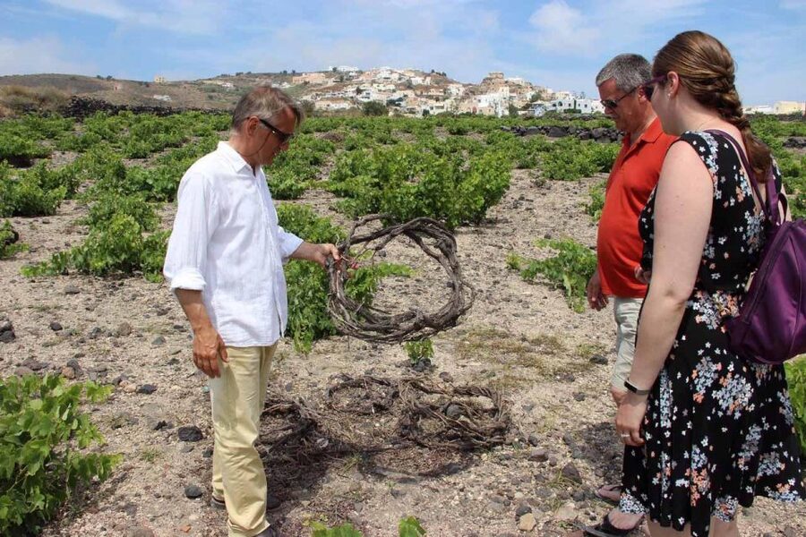 Santorini: 5-Hour Private Wine Tour - Santo Wines: the view earns its place