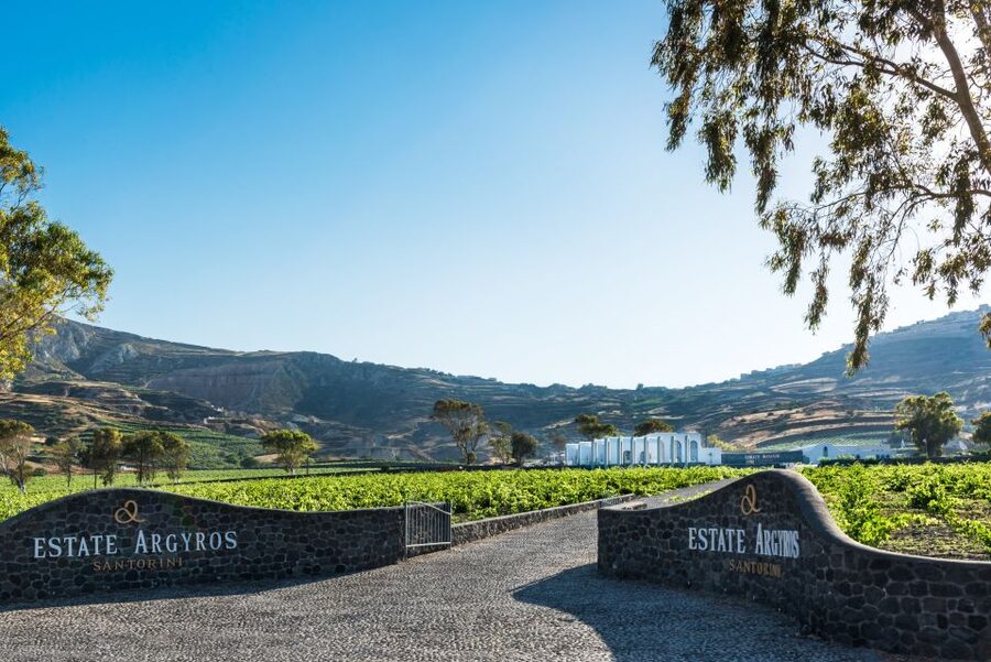 Santorini: Guided Wineries Private Tour with Wine Tastings - Estate Argyros and the island’s modern wine side