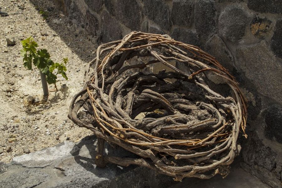 Santorini: Three Wineries and One Brewery Tour with Tastings - Timing, alcohol, and practical limits
