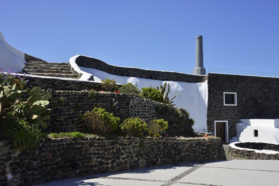 Santorini: Wine Tasting Tour to 3 Wineries with Transfer - Who will enjoy this tour most?