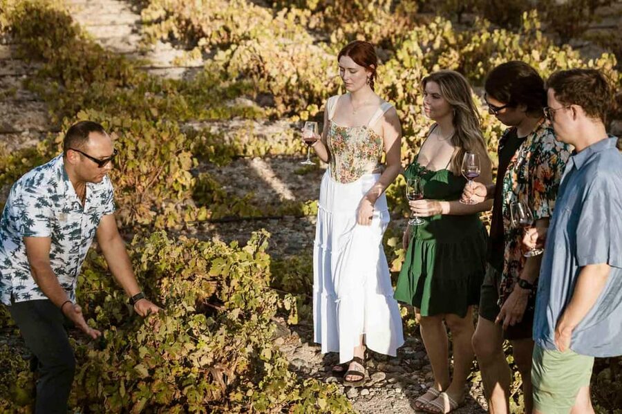 Santorini: Wine Tasting Tour with Snacks - Estate Argyros and the basket vines