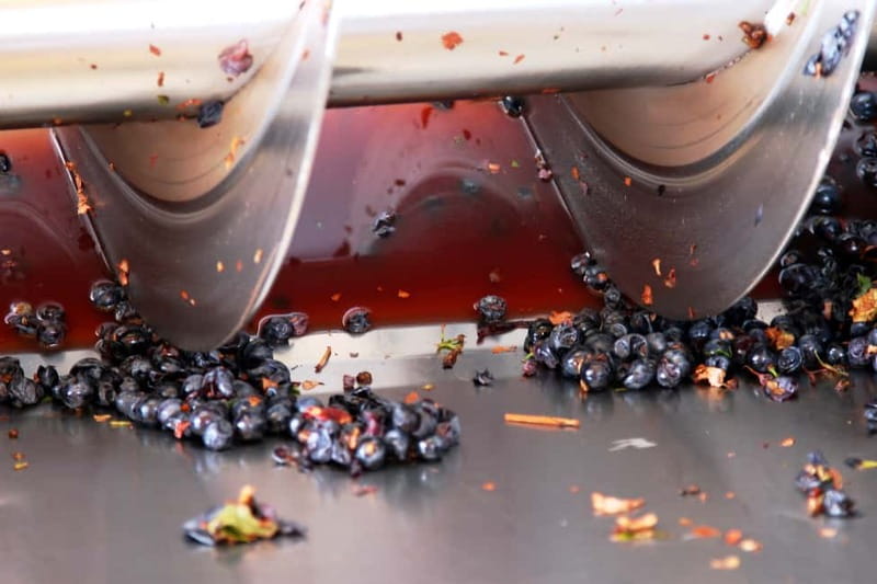 Sardinia: Winery Tour and Wine Tasting Experience - A winery visit in the hills outside Cagliari