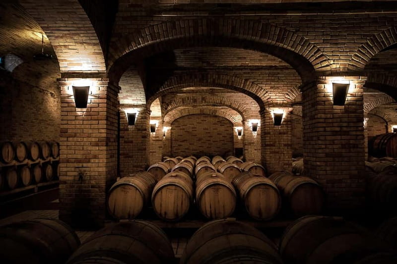 Sardinia: Winery Tour and Wine Tasting Experience - Walking through the vineyards and production rooms