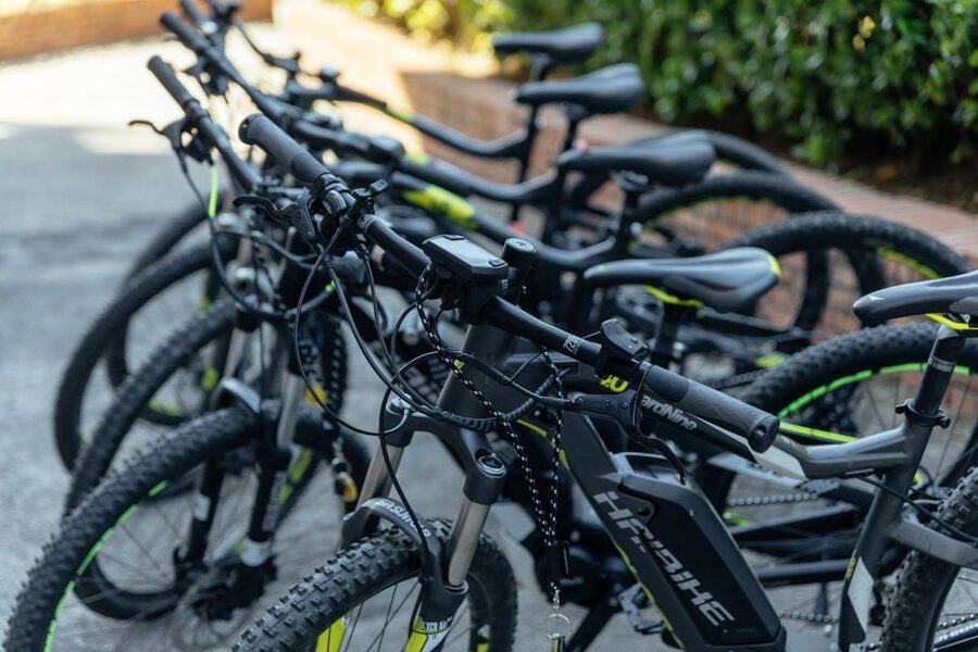 Scenic E-Bike Ride with Vineyard Wine & Meal - Five things to know before booking