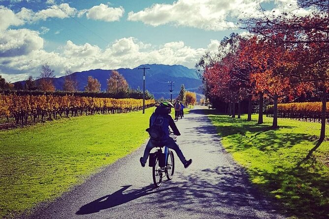 Self-Guided Wine Tours by Bike with Lorelle & Greg - What the cellar door stops offer