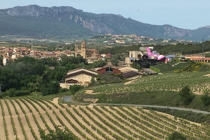 Semi-Private Rioja Tour of 3 Premium Wineries from Bilbao - Is $362.81 a fair price?