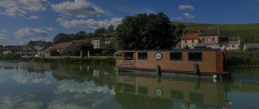Semi Private Solar Boat Cruise in Champagne - Why seeing Champagne from the canal matters
