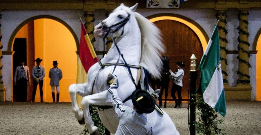 Seville: Jerez, Cadiz Wine Tasting with Optional Horse Show - Key points at a glance