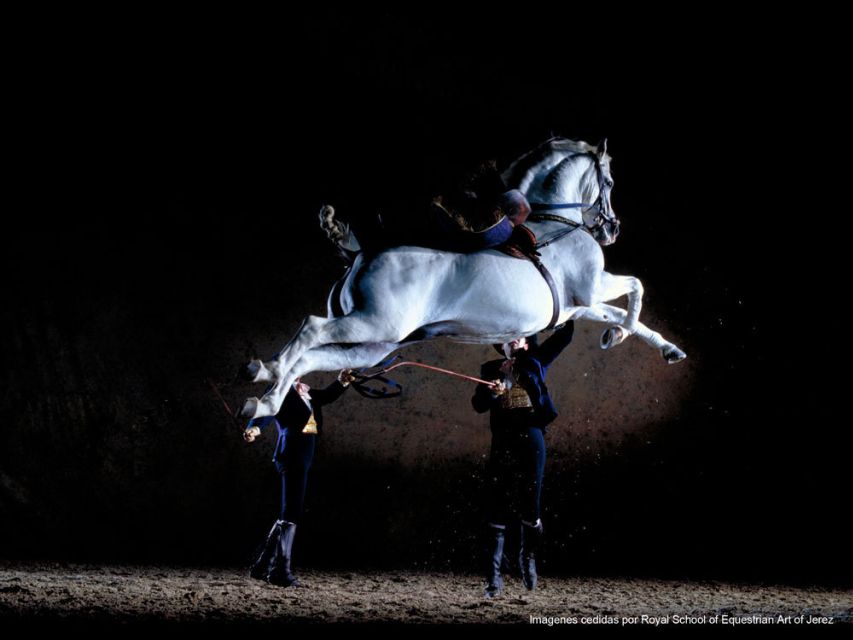 Seville: Jerez, Cadiz Wine Tasting with Optional Horse Show - Making the most of your free time