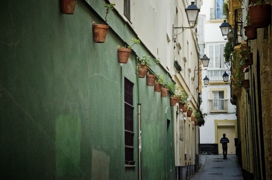 Seville: Jerez, Cadiz Wine Tasting with Optional Horse Show - Guides, languages, and the feel of the day