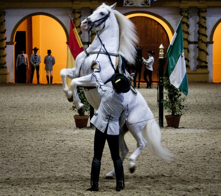 Seville: Jerez, Cadiz Wine Tasting with Optional Horse Show - Timing, transport, and what to bring
