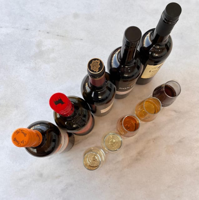 Seville: Sherry Wine Tasting with Light Snacks - Five pours, five different ways to understand sherry