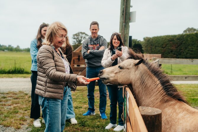 Sheep Farm Day Trip from Christchurch + Lunch and Winery visit. - Is $183.07 a fair price?