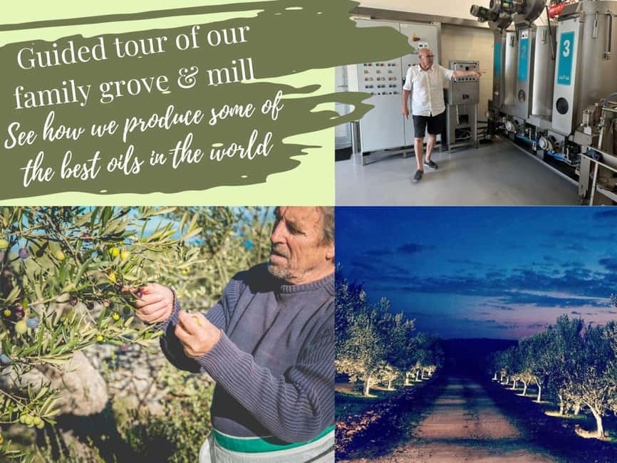 Šibenik: Croatia in a Day, Vistas, History, Olive Oil, Wine - The optional lunch changes the value calculation