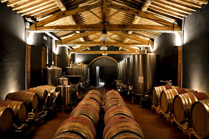 Siena: A Wine Tour and Tasting Experience - A country winery close to Siena