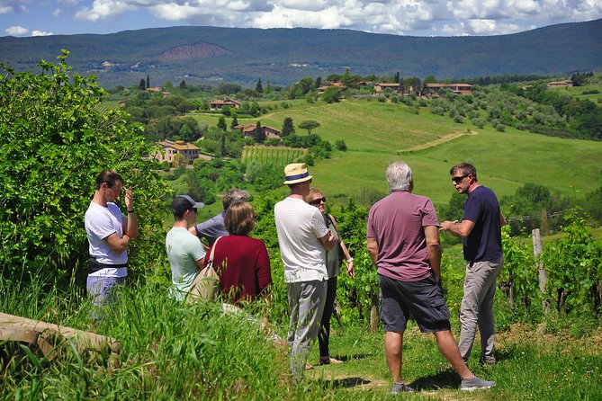 Siena: A Wine Tour and Tasting Experience - How the guide shapes the visit