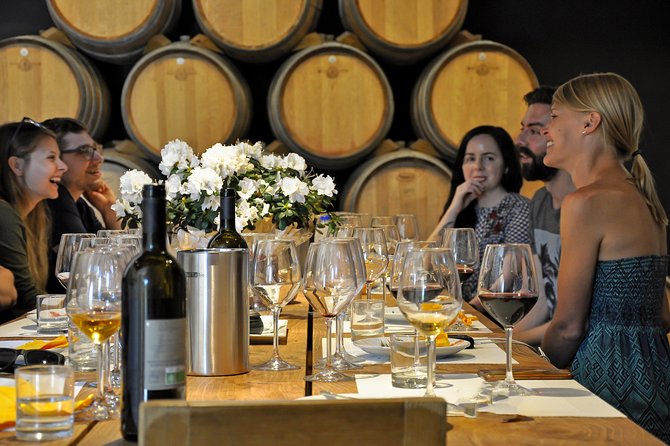 Siena: A Wine Tour and Tasting Experience - The vineyard lesson takes about 50 minutes