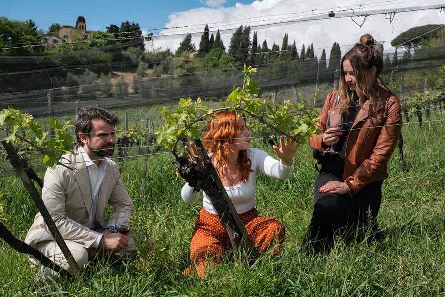 Siena: Educational Wine Tour & Tasting - The essential details at a glance