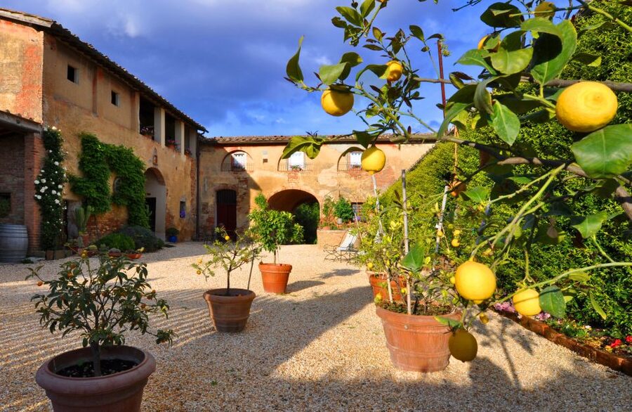 Siena: Educational Wine Tour & Tasting - Four wines in the sensory tasting