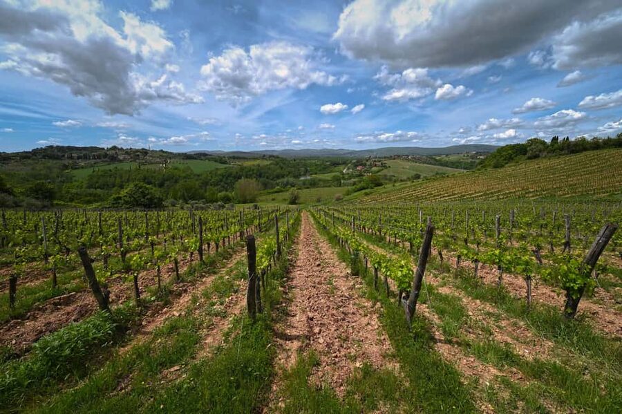 Siena: Educational Wine Tour & Tasting - Getting there from central Siena