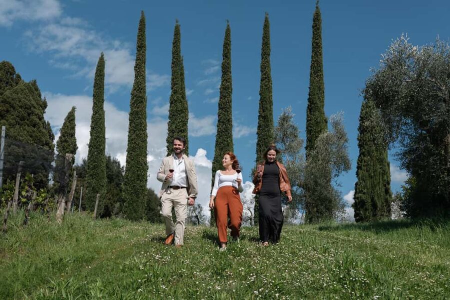 Siena: Educational Wine Tour & Tasting - Is $100 per person good value?