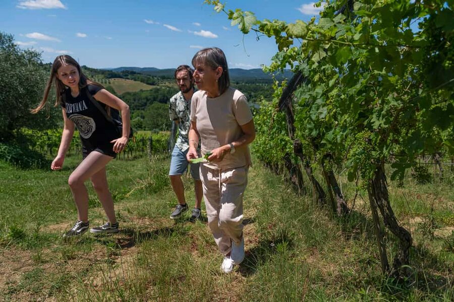 Siena: Organic Winery Tour and Wine Tasting - Five things to know before booking