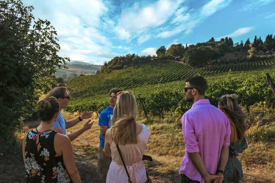 Siena: Organic Winery Tour and Wine Tasting - Inside the old cellar