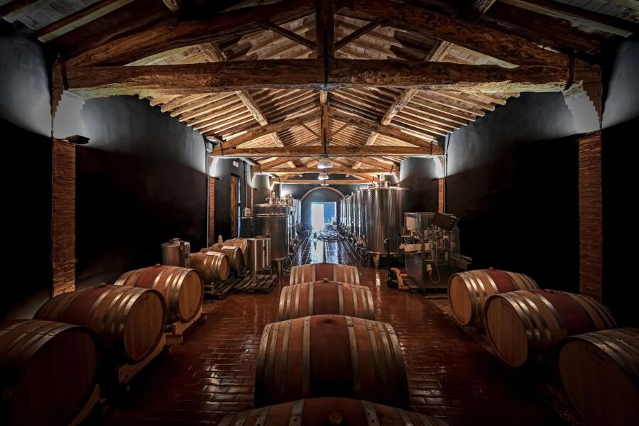 Siena: Organic Winery Tour and Wine Tasting - What makes the guides important