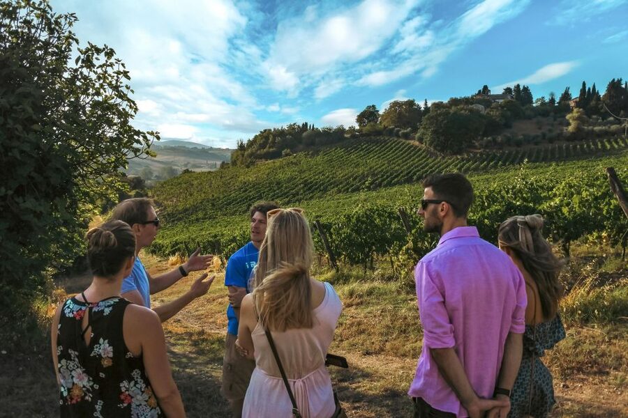 Siena: Organic Winery Tour and Wine Tasting - Timing, group feel, and practical limits
