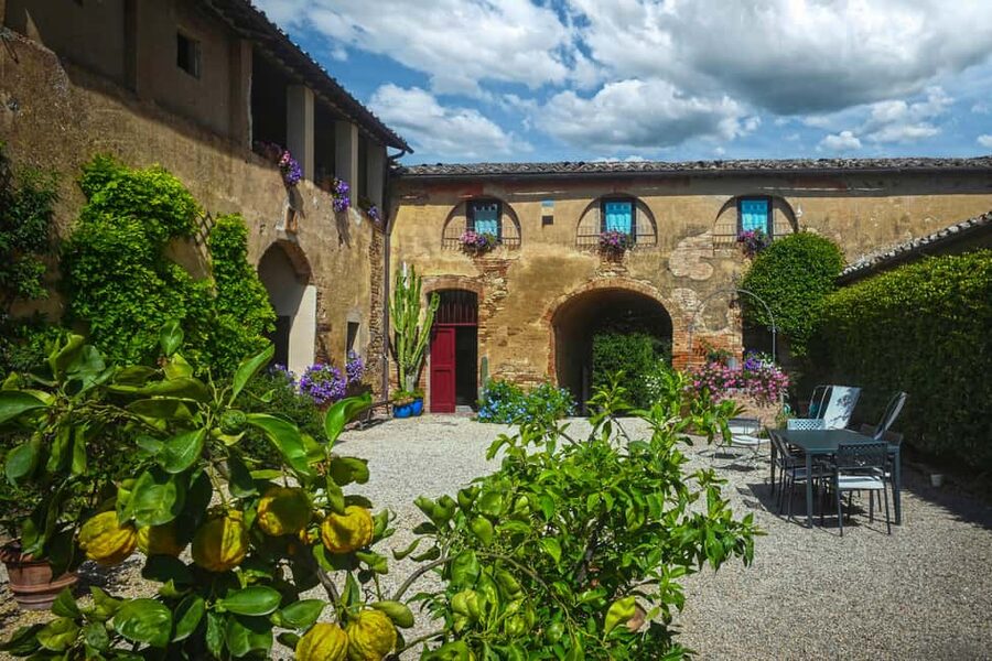 Siena: Organic Winery Tour and Wine Tasting - Walking through the organic vineyard